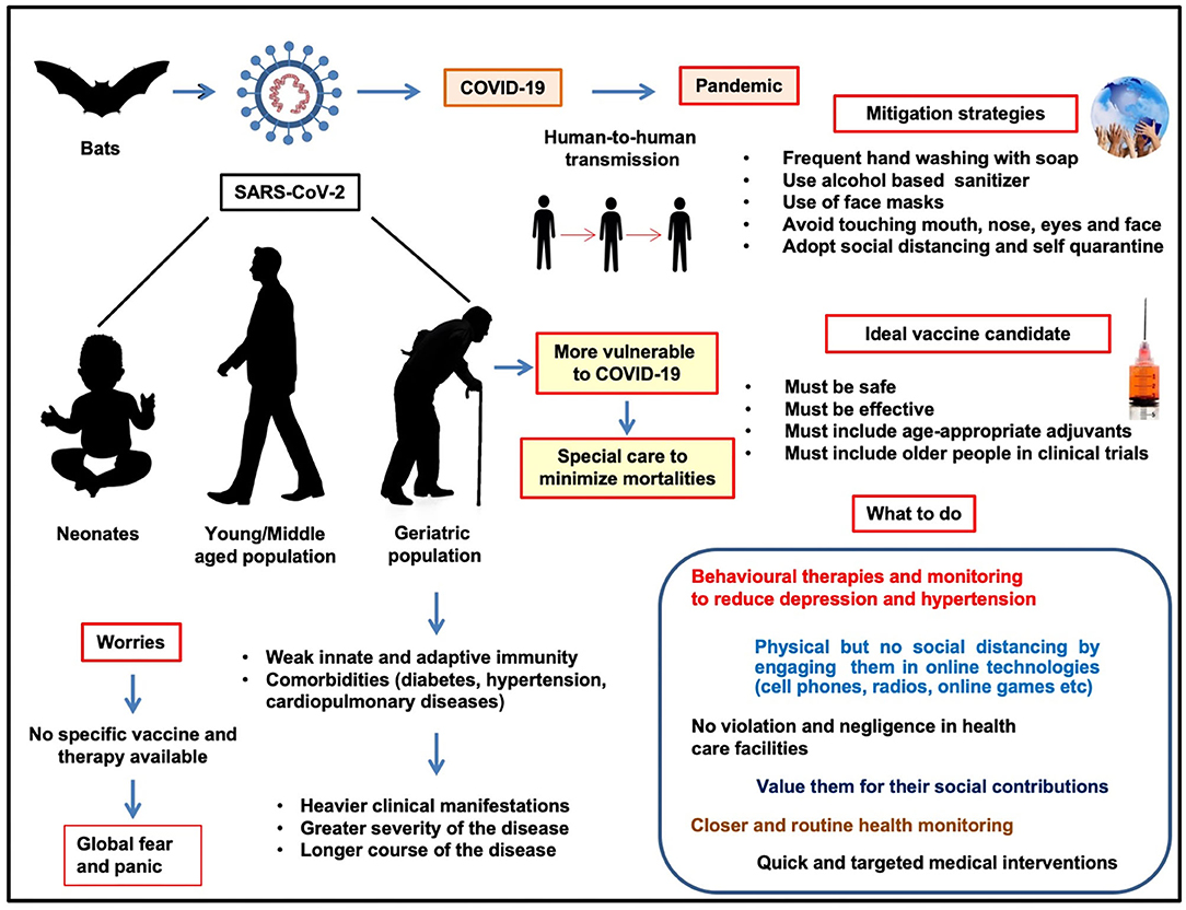 Frontiers | Geriatric Population During The Covid-19 Pandemic: Problems, Considerations, Exigencies, And Beyond | Public Health