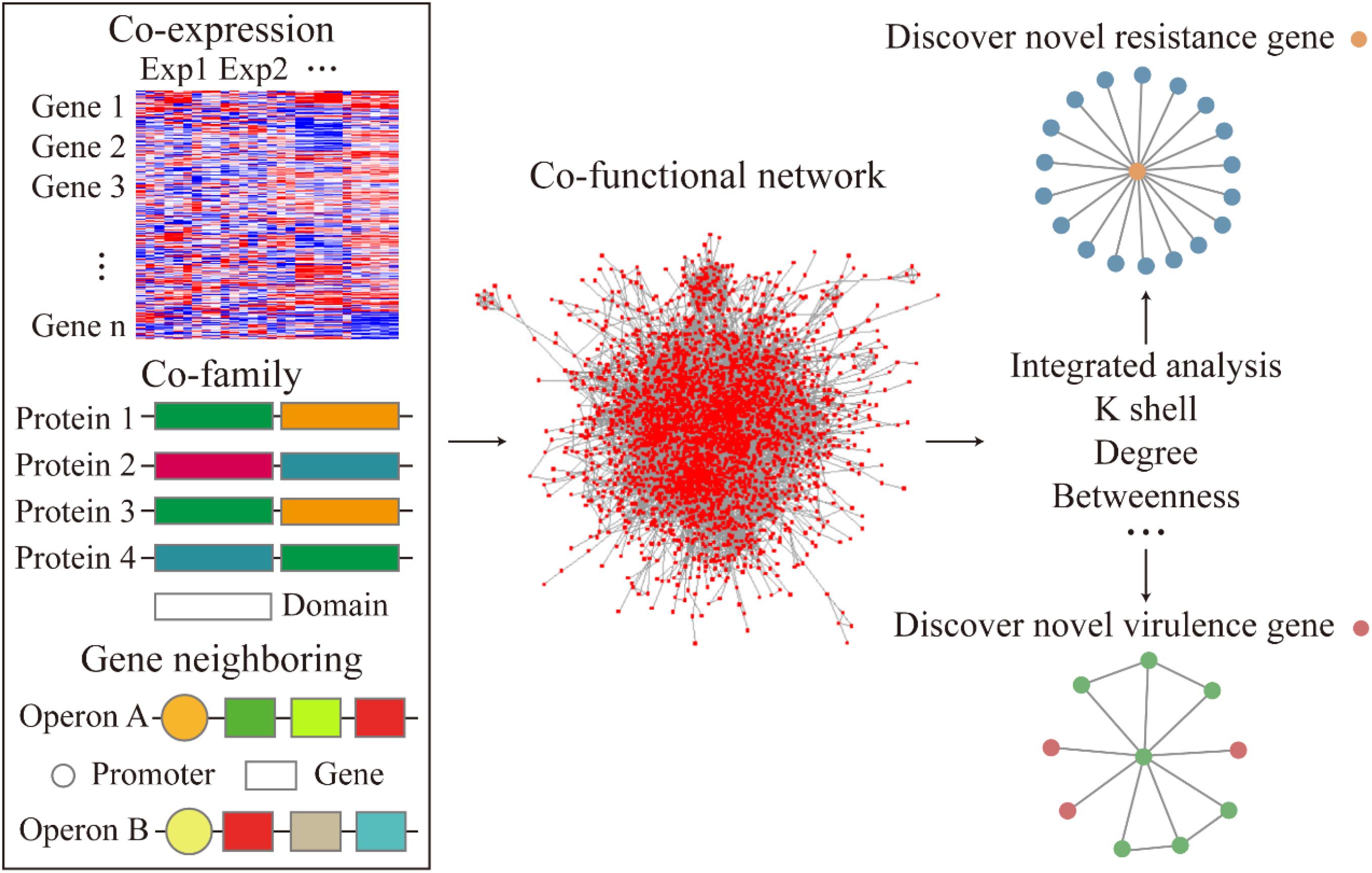 Frontiers Integrated Cofunctional Network Analysis on the Resistance