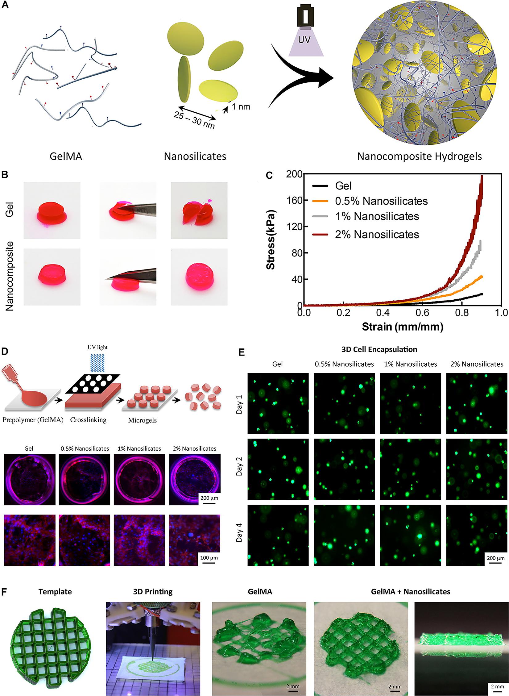 Frontiers Recent Progress in 3D Printing of Elastic and HighStrength