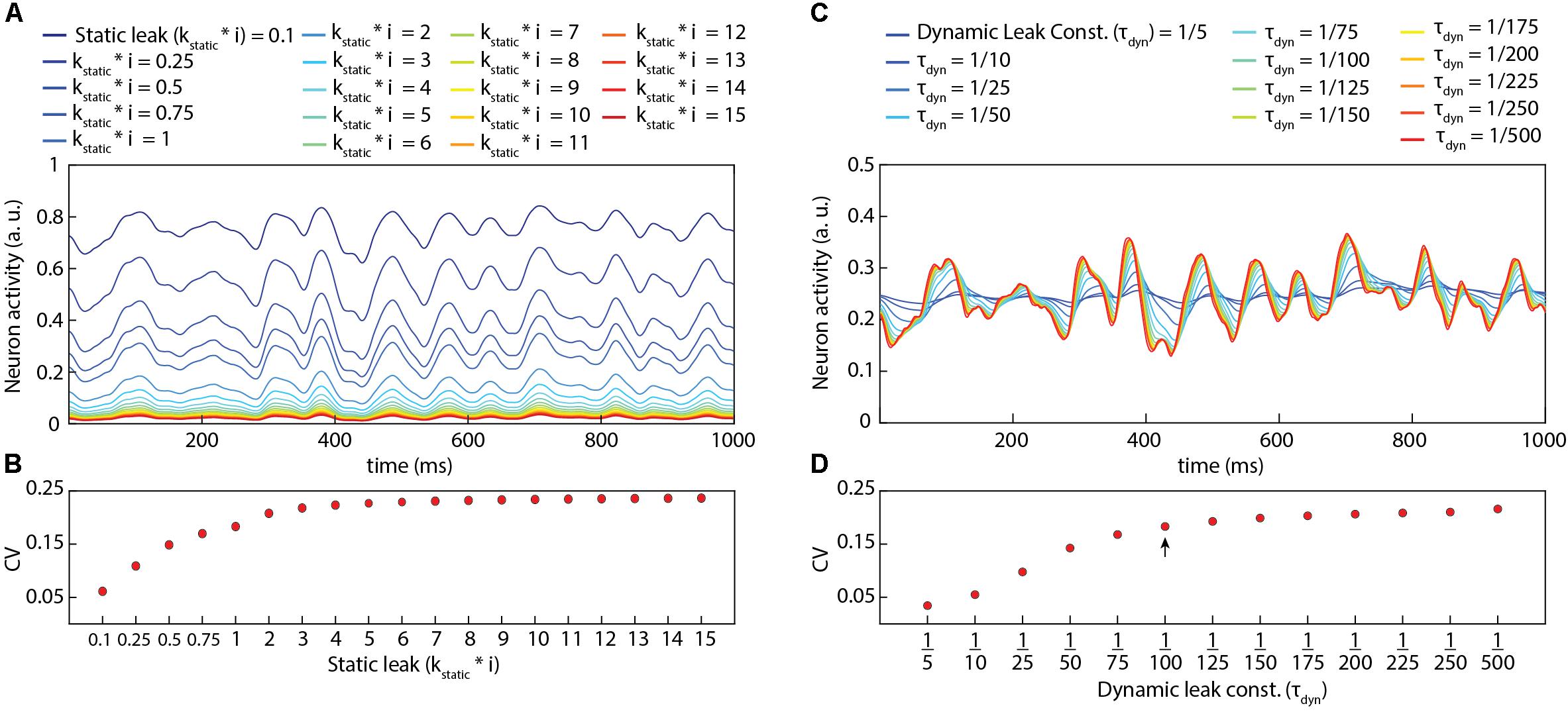 Frontiers A Nonspiking Neuron Model With Dynamic Leak to Avoid