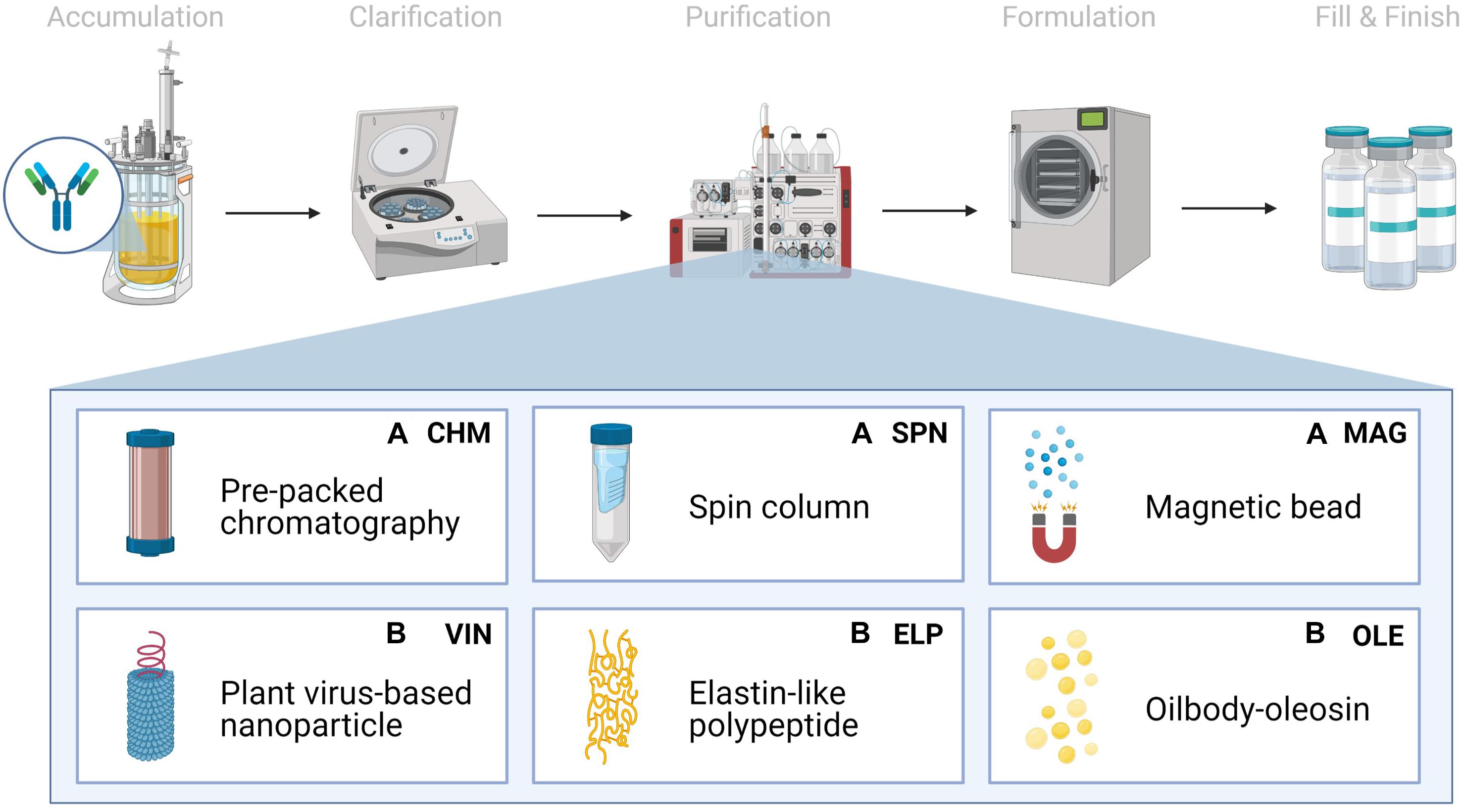 Frontiers Evaluating the Cost of Pharmaceutical Purification for a