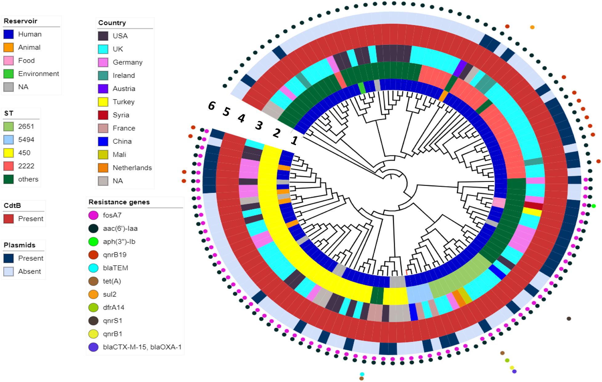 Frontiers Global Genomic Characterization of Salmonella enterica