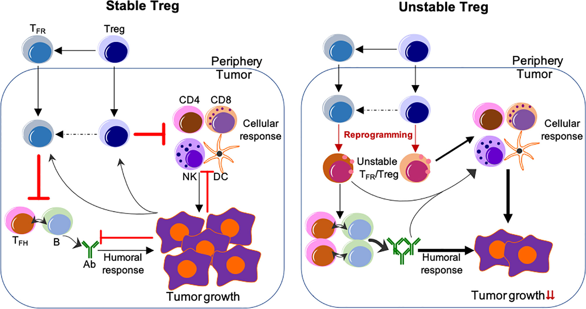 Encender nokia con tarjeta sim no aceptada (de otro operador que original). Frontiers Lineage Reprogramming Of Effector Regulatory T Cells In Cancer Immunology