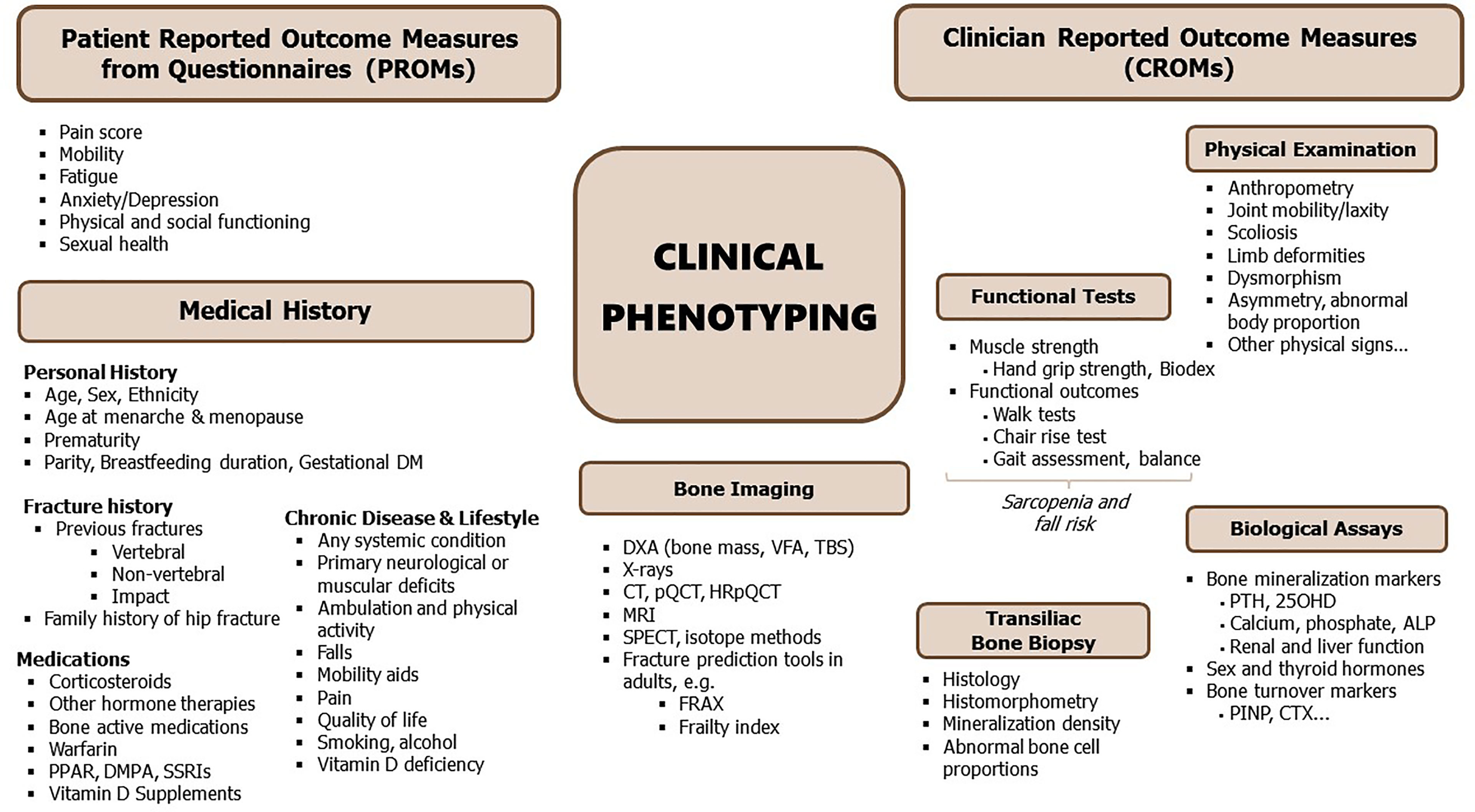 Gigi Autopsy Report Pdf ShareneEnrique(016)