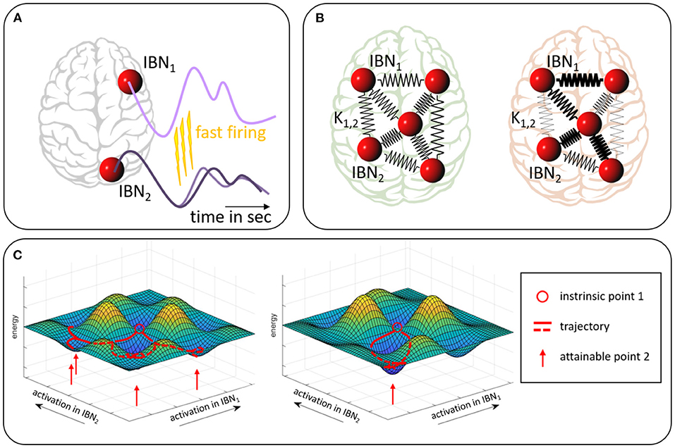 Frontiers Quantification of Kuramoto Coupling Between Intrinsic Brain