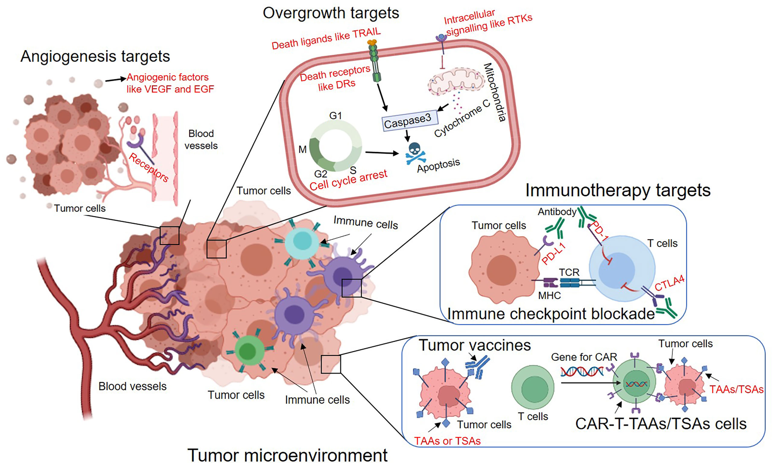 Frontiers Evolution of Molecular Targeted Cancer Therapy Mechanisms