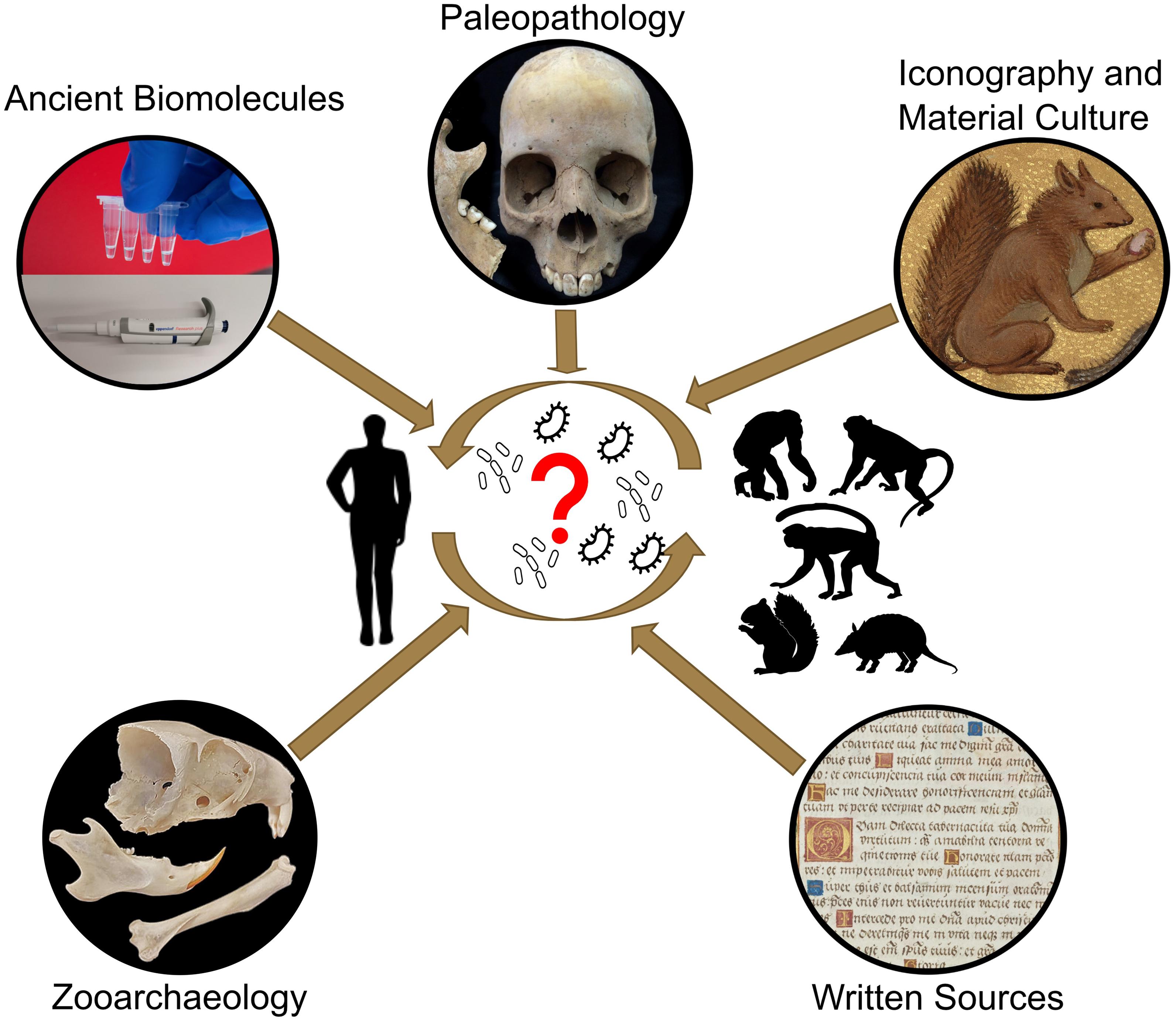Frontiers One Health Approaches to Trace Mycobacterium leprae’s