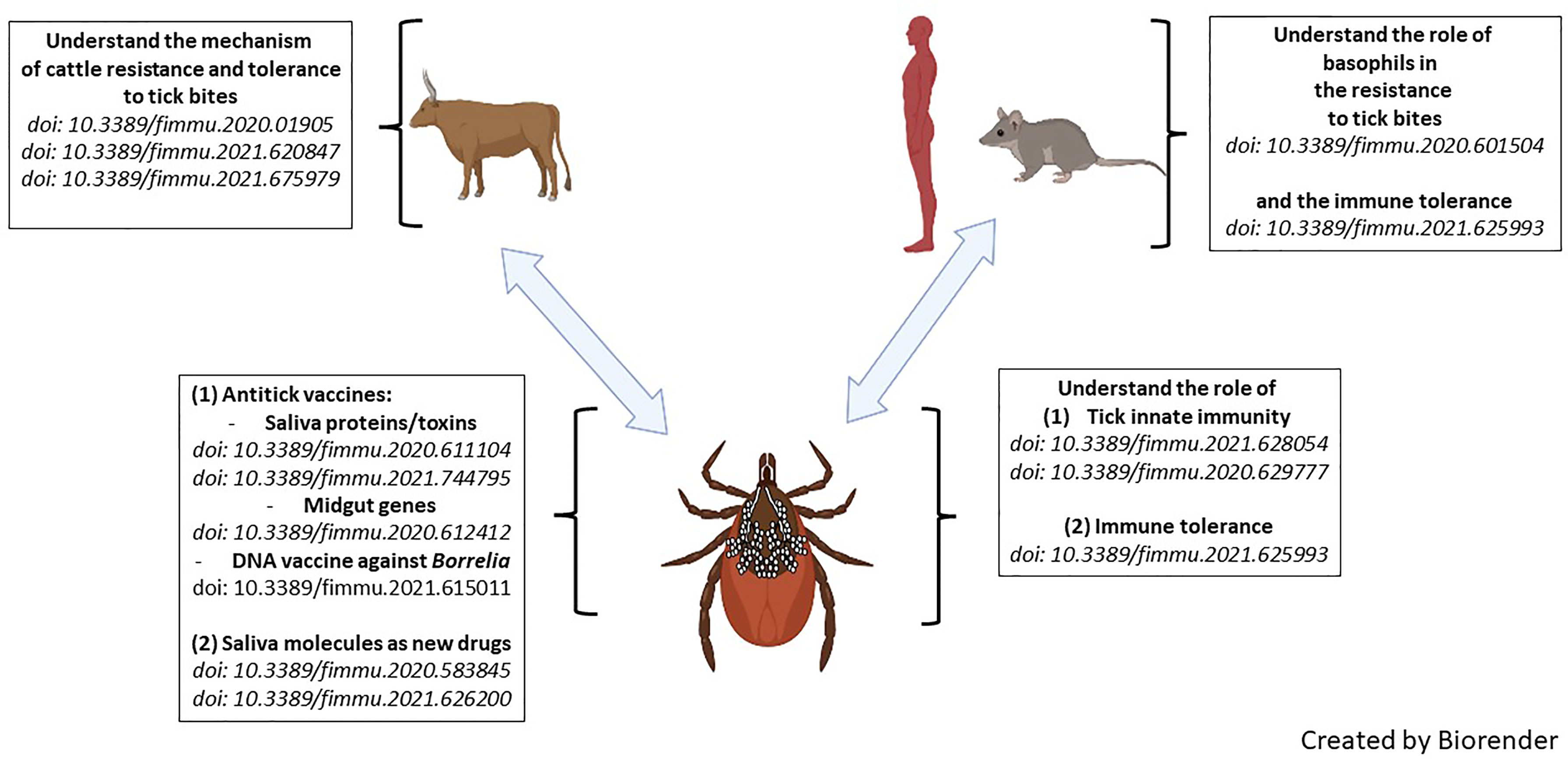Frontiers Editorial Ticks and Host Immunity New Strategies for