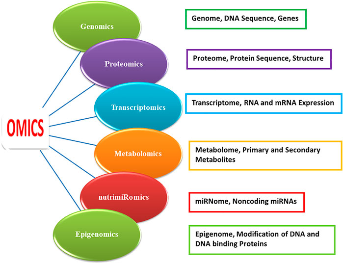 Frontiers Omics Technology for the Promotion of Nutraceuticals and