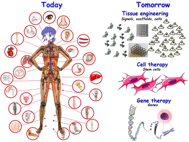 Frontiers Evolution of Biomaterials