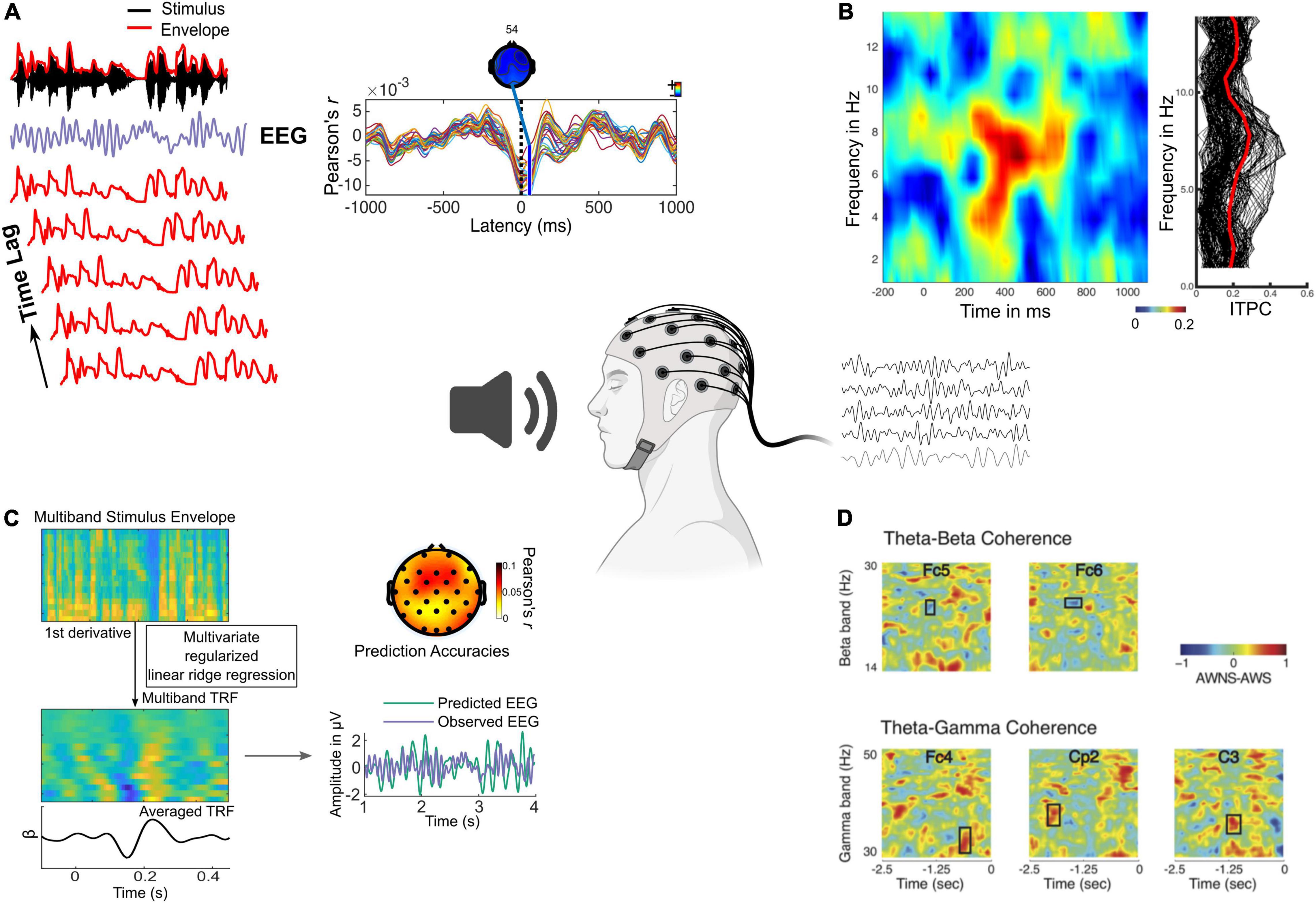 Frontiers On the Role of Neural Oscillations Across Timescales in