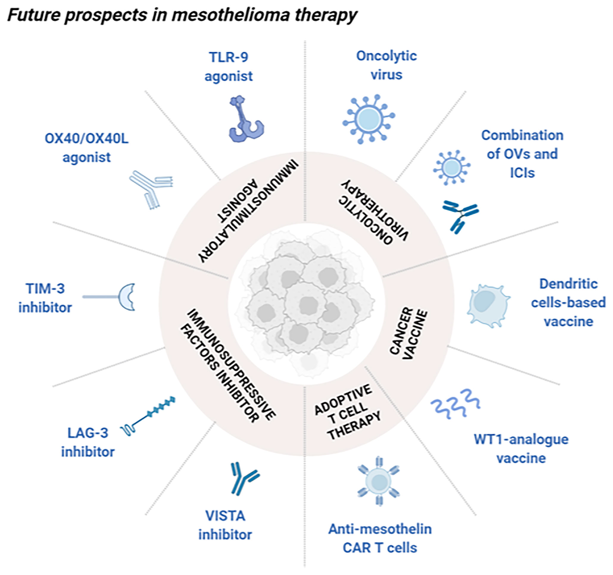 Frontiers Novel Insights Into Mesothelioma Therapy Emerging Avenues