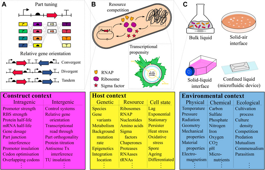 Frontiers The context matrix Navigating biological complexity for
