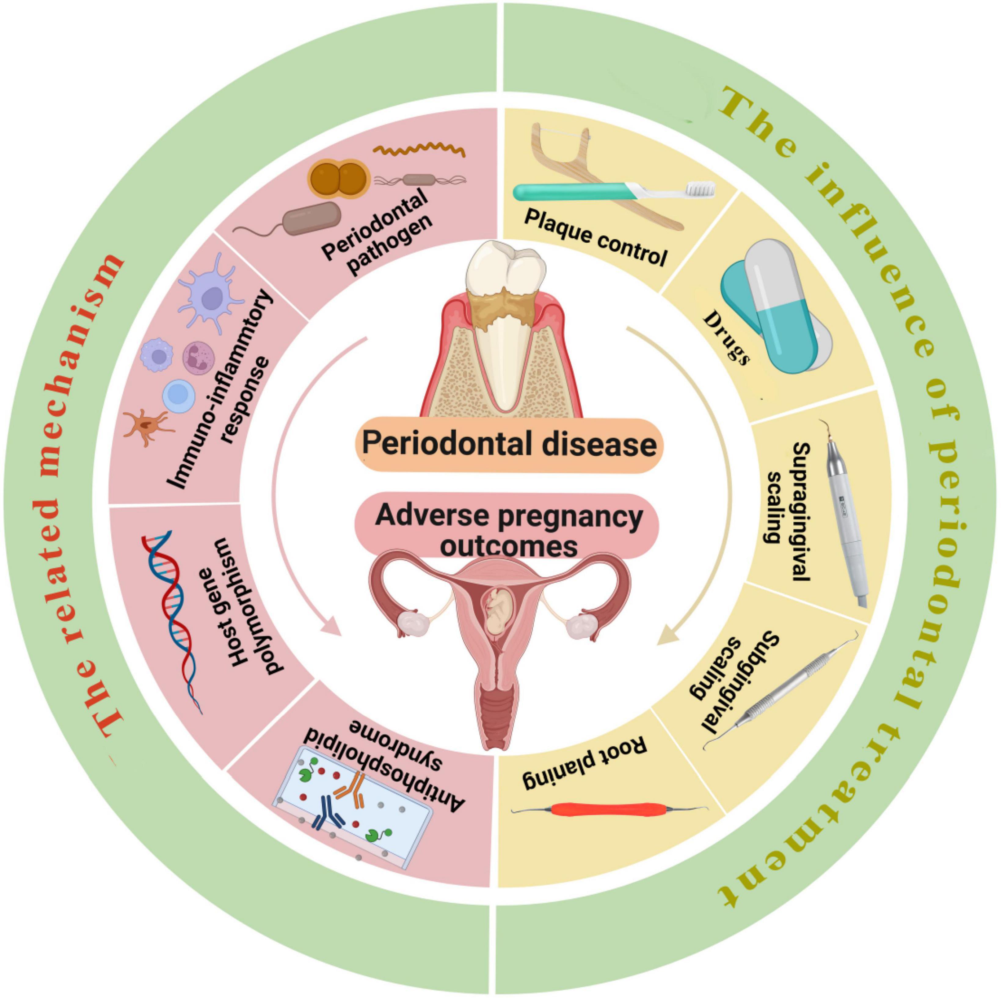 Frontiers Periodontal disease in pregnancy and adverse pregnancy
