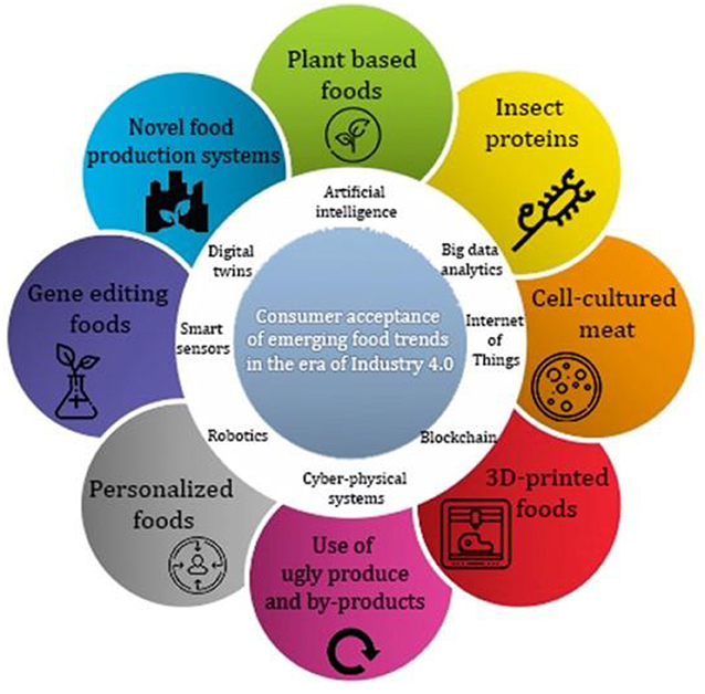 Are Organically Grown Foods the Best Food Choices? Benefits, Myths