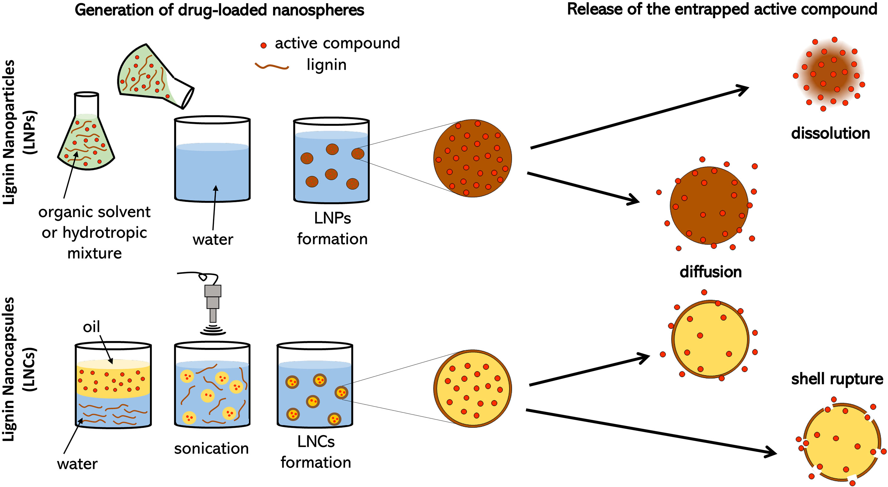 Frontiers Ligninbased nanoenabled agriculture A minireview