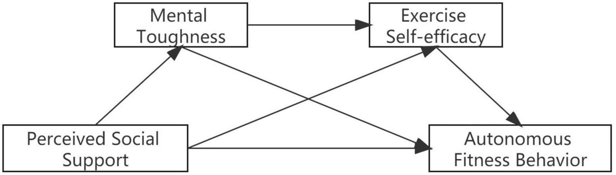 Frontiers | Exploring the relationship between perceived social