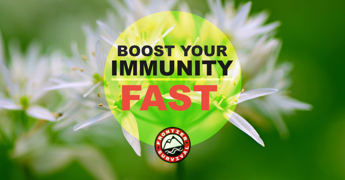 9 Ways to Boost Your Immune System Fast Frontier Survival