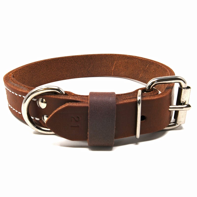 1 Inch Deluxe Leather Collar Free Brass Nameplate Front Range Gun Dog