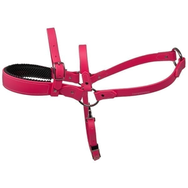 Padded Beta Roading Harness Front Range Gun Dog