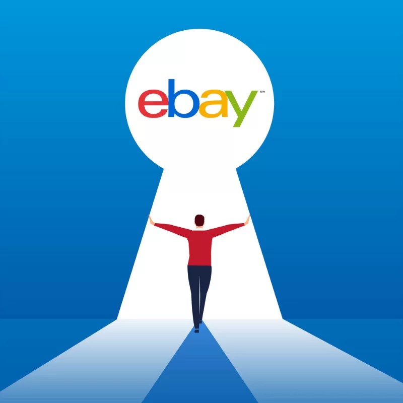 eBay Suspension What Causes It and How To Recover Frooition