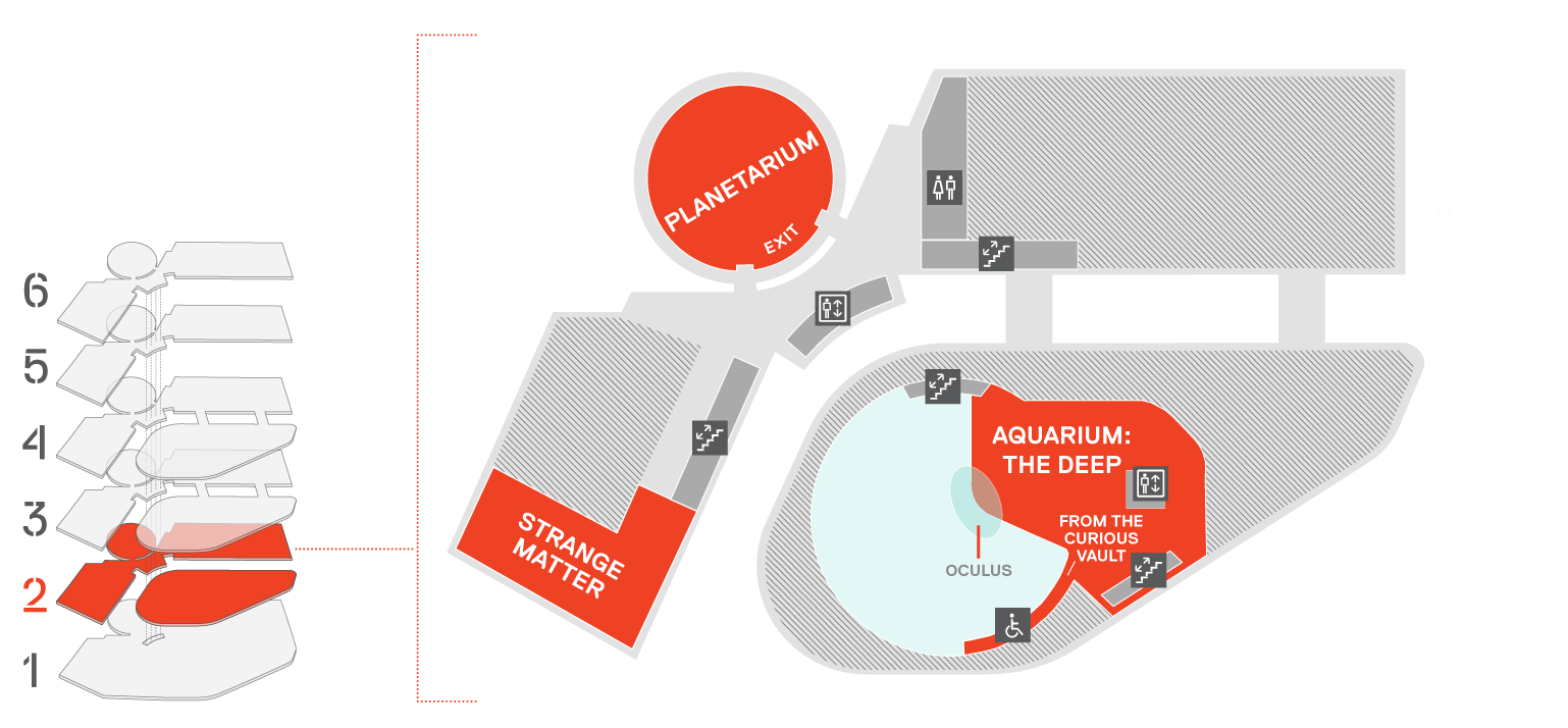 Plan Your Day At Frost Science To Let The Discovery Begin