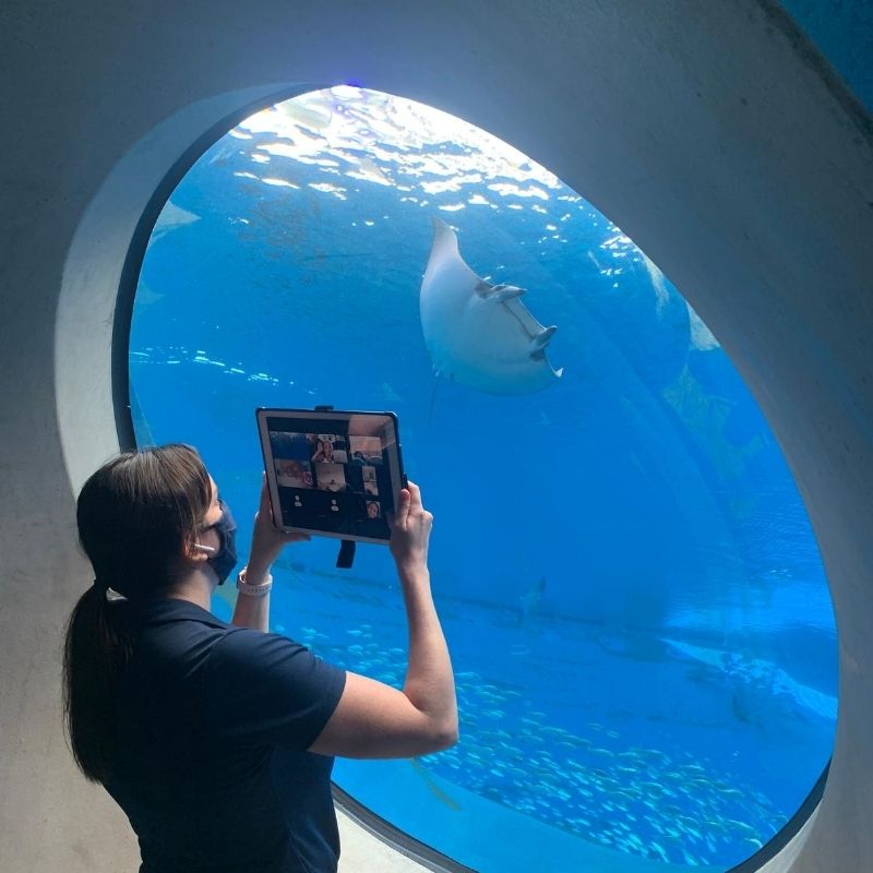 Best Things To Do With Kids In Miami Frost Science