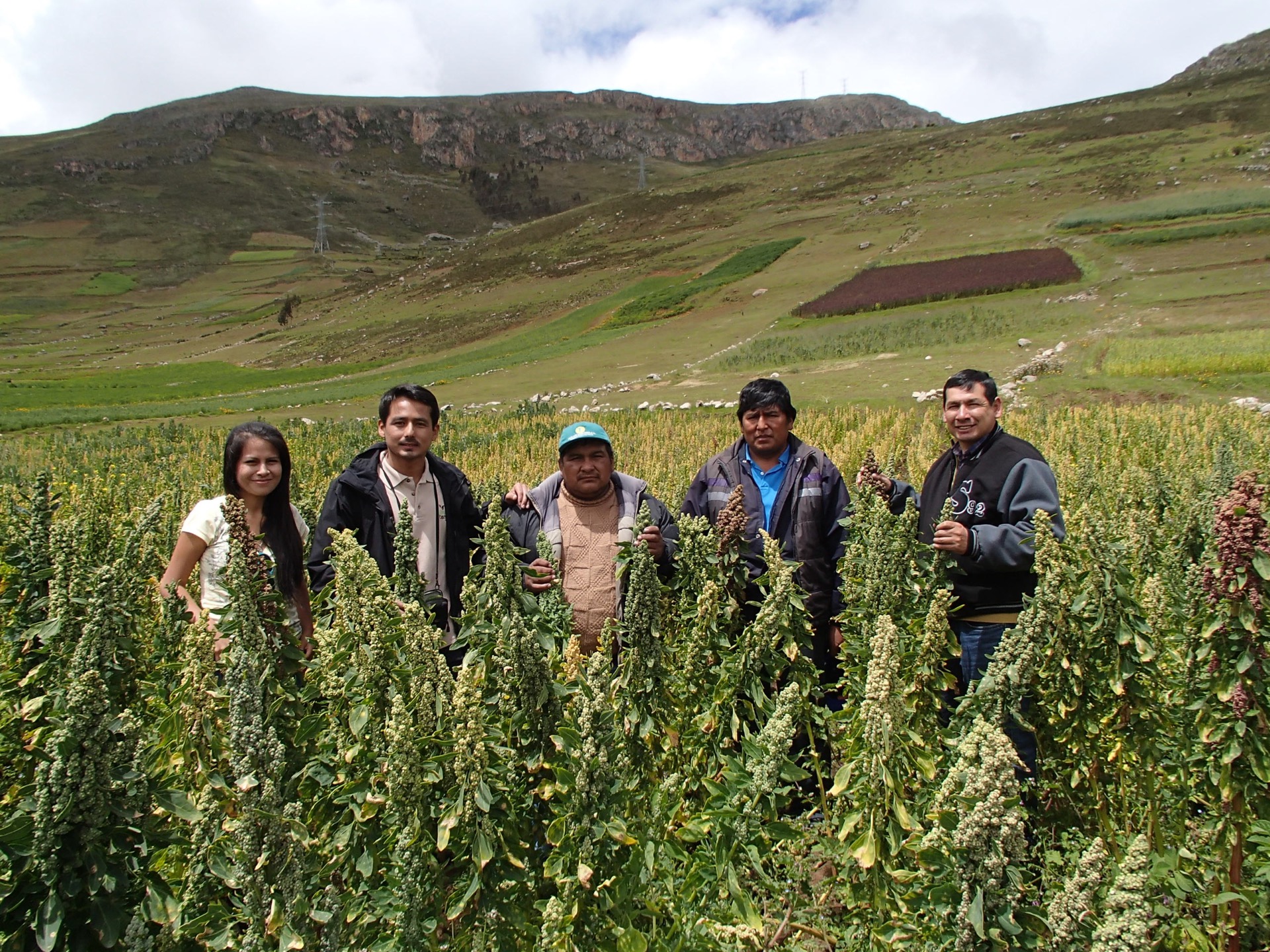 Fructus Terrum Natural Ingredients Misión y Visión