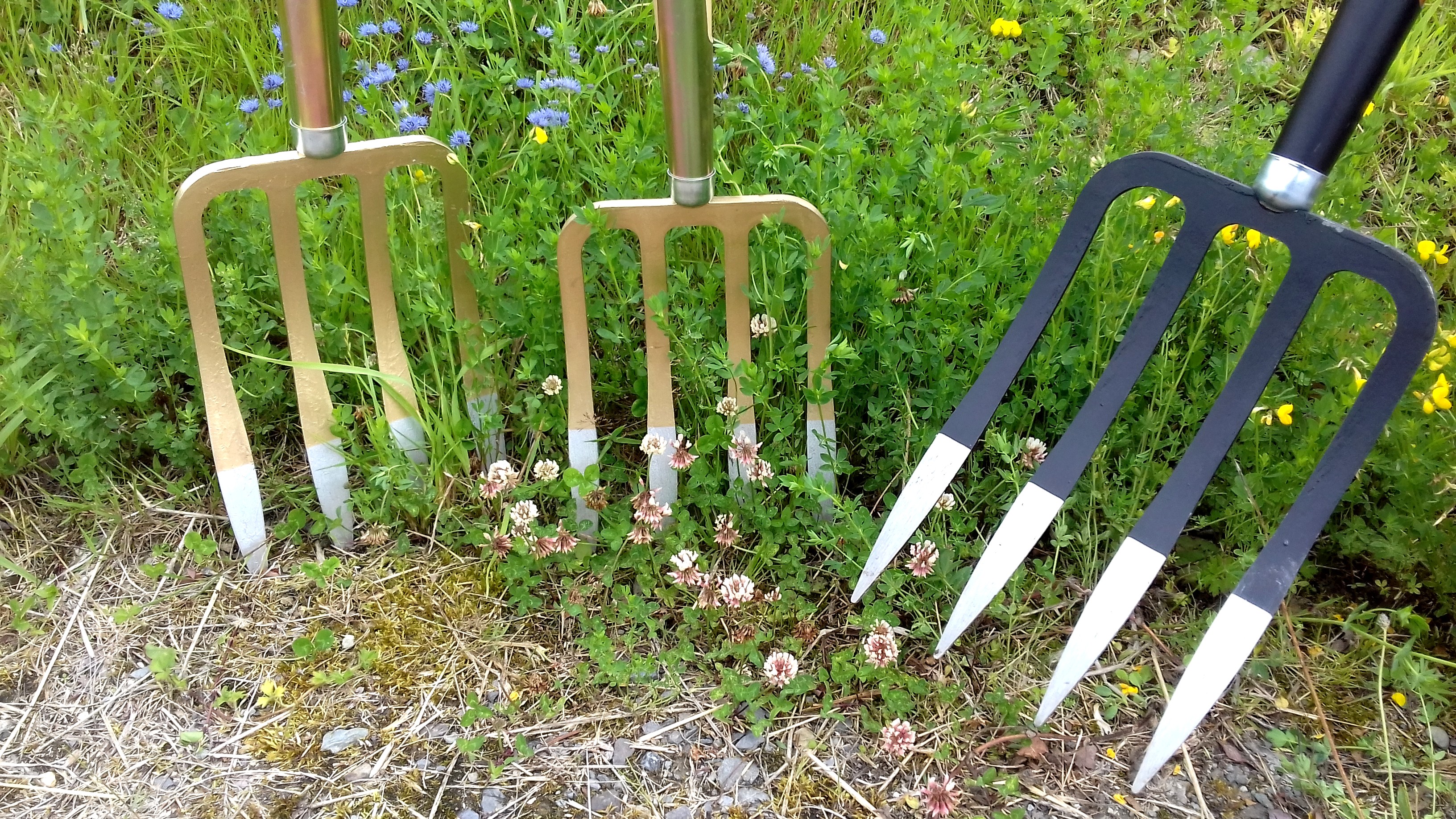 26 Unique Garden Fork garden plants