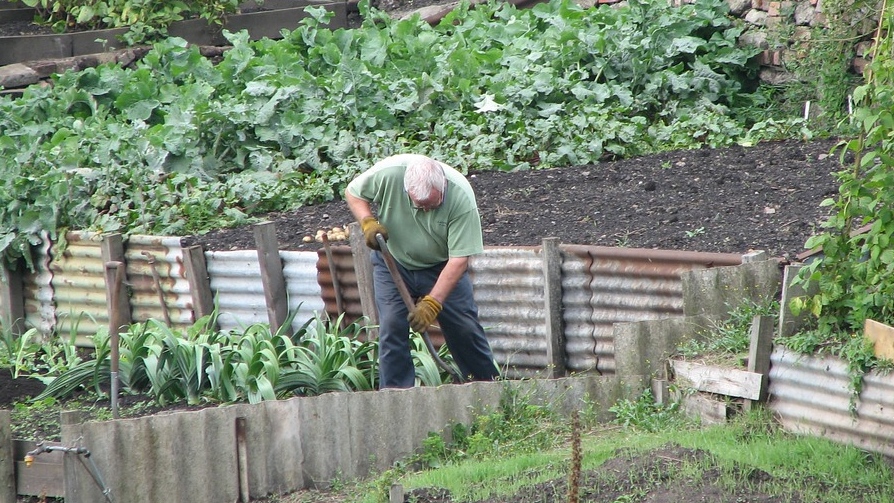 Crop Rotation Fruit Hill Farm Blog