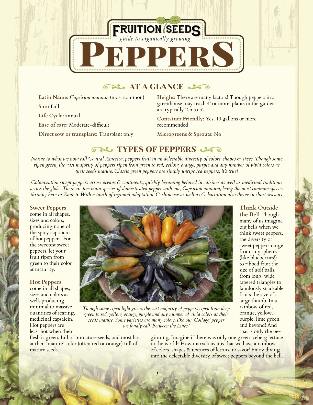 Organic Mountaineer Sweet Pepper Fruition Seeds