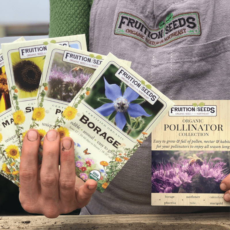 Organic Pollinator Collection Fruition Seeds