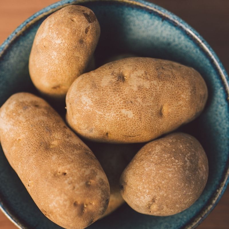 Russet Norkotah Potato Fruition Seeds