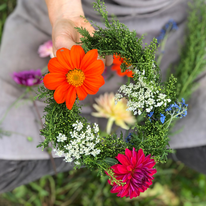 Sweet Annie Fruition Seeds