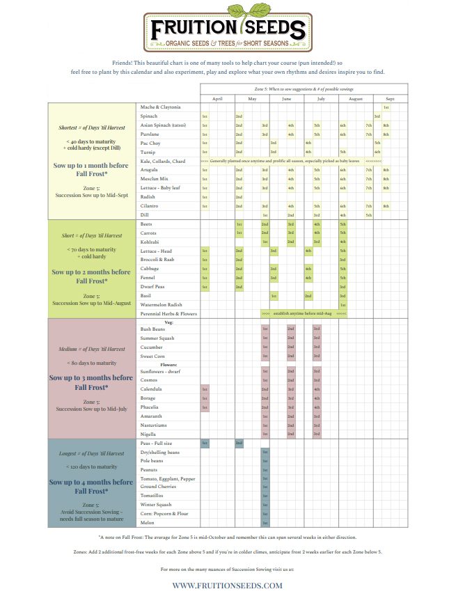 Garden Planning Charts & Infographics - Fruition Seeds