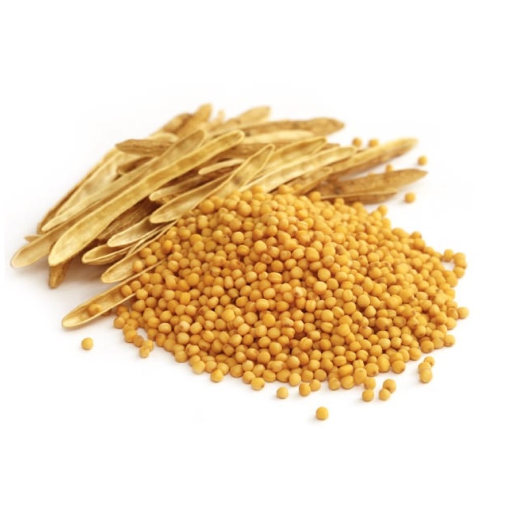Senape Gialla in Grani compra online