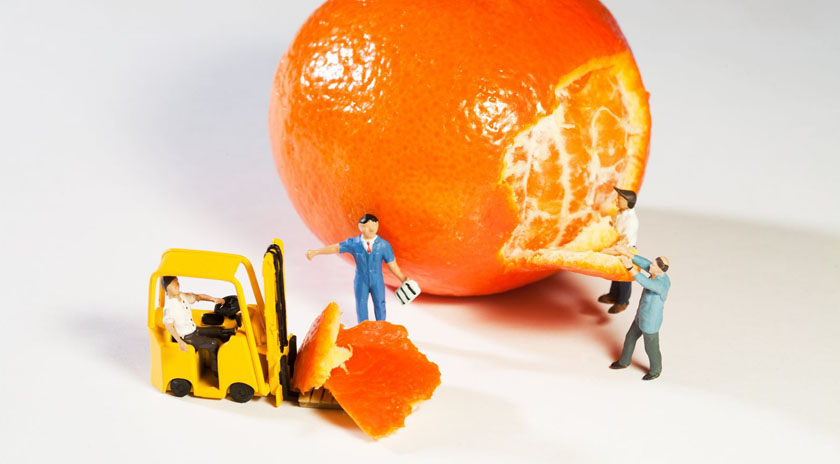 Fsh Consulting - Food Safety Hospitality- Consulenza E Formazione In Sicurezza Alimentare, Sicurezza Sul Lavoro, Qualità E Sviluppo 464_x_840_jpg