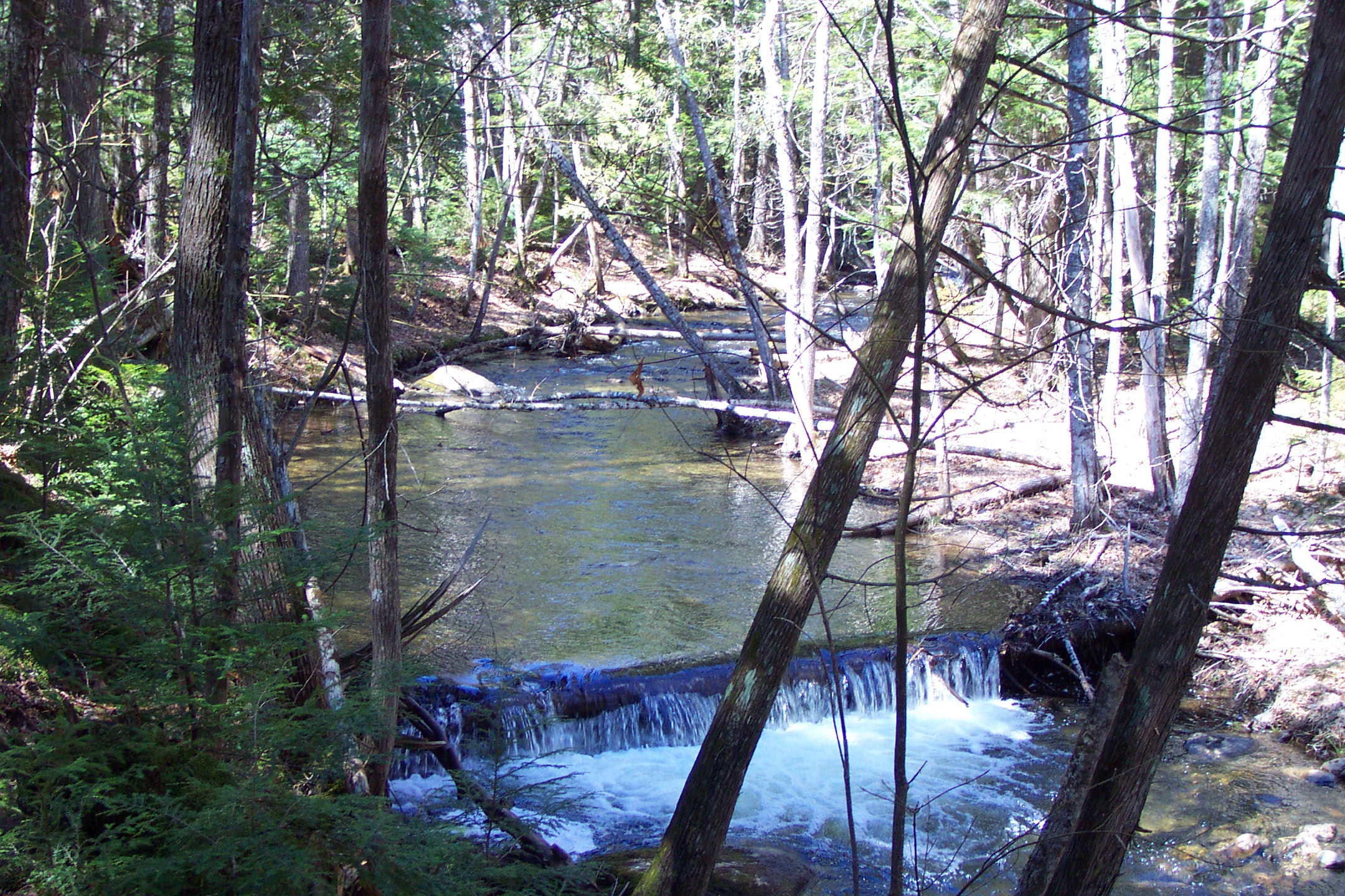 Monson Pond
