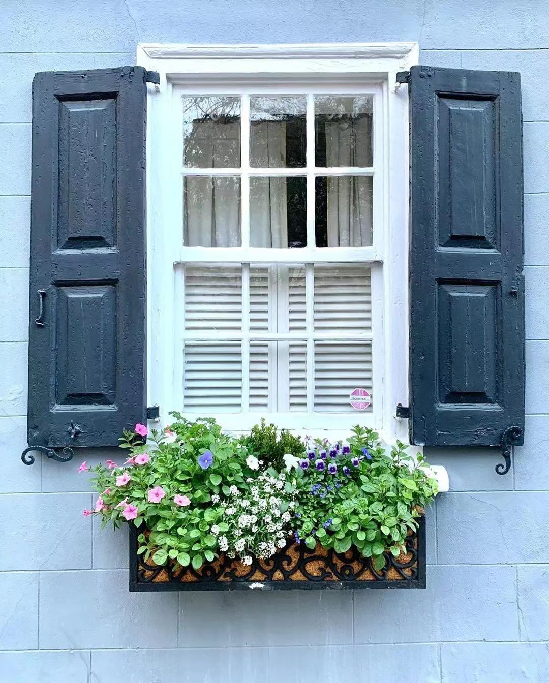 News The overlooked windowsill, with flowers blooming, is really beautiful