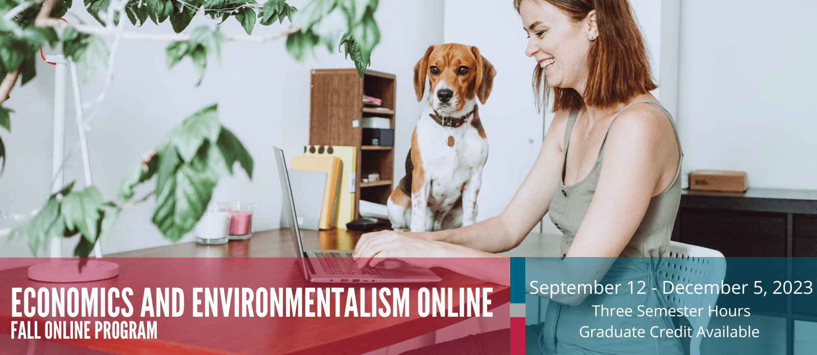 Home Foundation For Teaching Economics