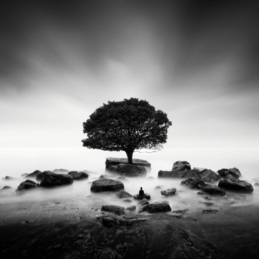 Buddha Zen Black and White Photography Media