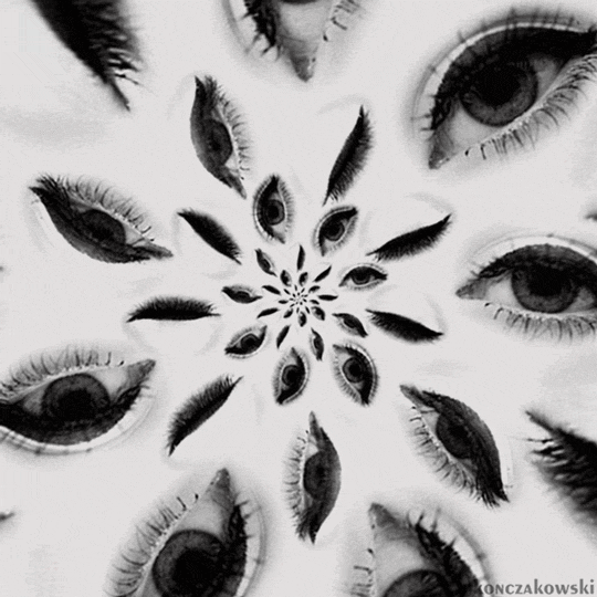 Dizzying Gifs of Everyday Objects Media