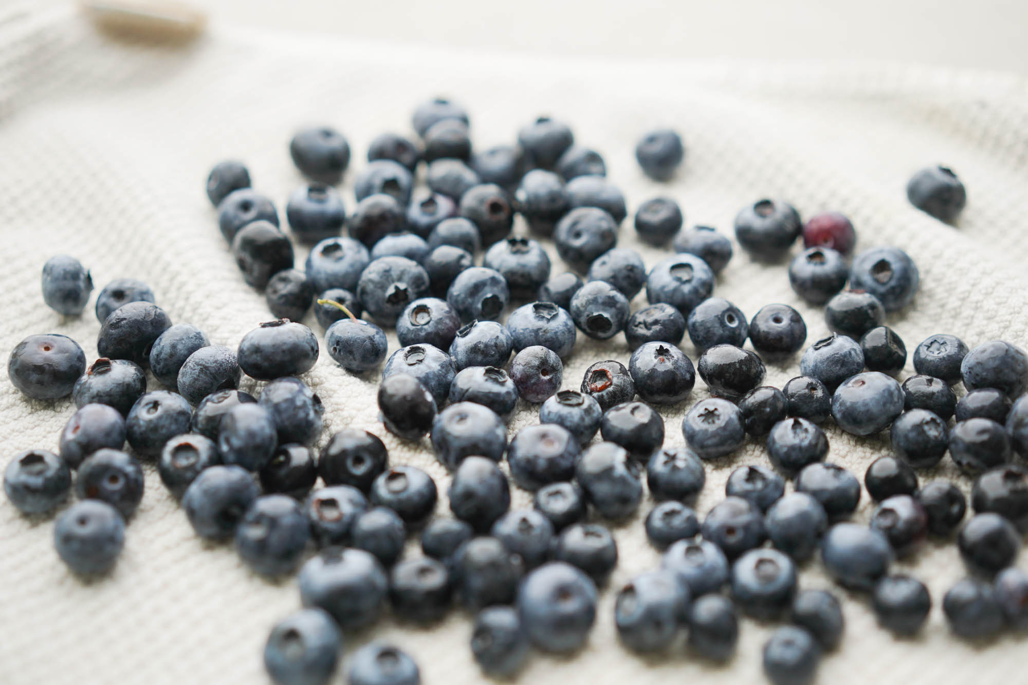 How to Freeze Blueberries Fueled With Food