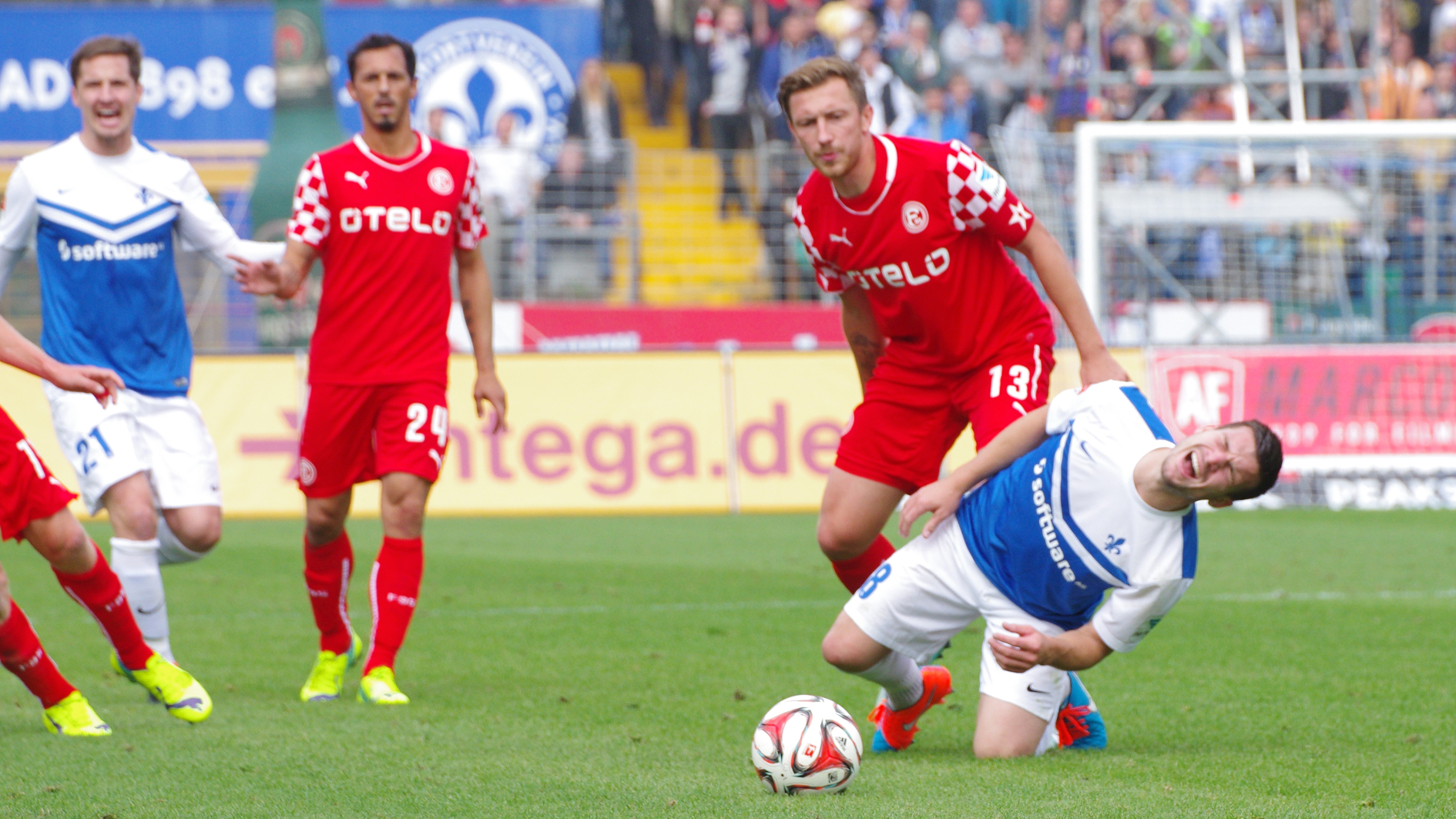 IMGP7487_web FuFa SV Darmstadt 98