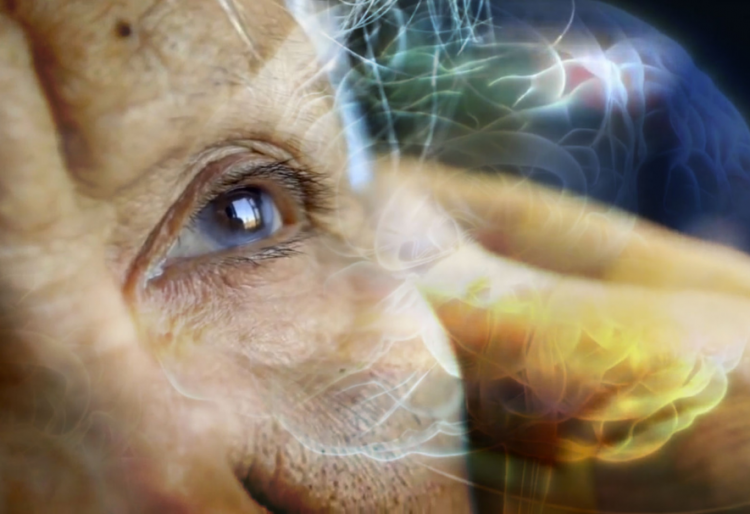 full frame film festival 2023 November Staff Pick Alive Inside Full Frame Documentary Film Festival