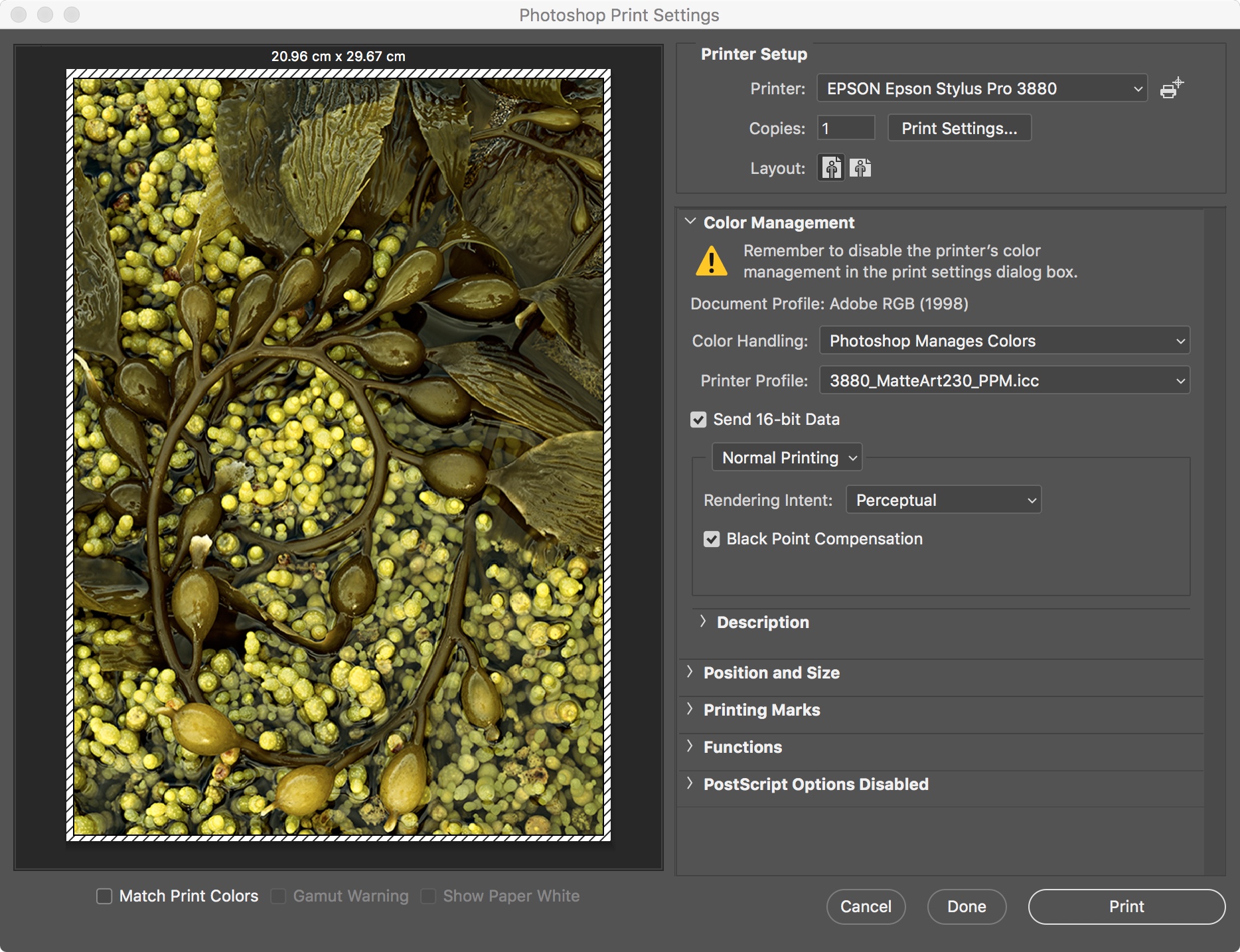 Custom ICC Profiles Print using your Custom Profile using Adobe