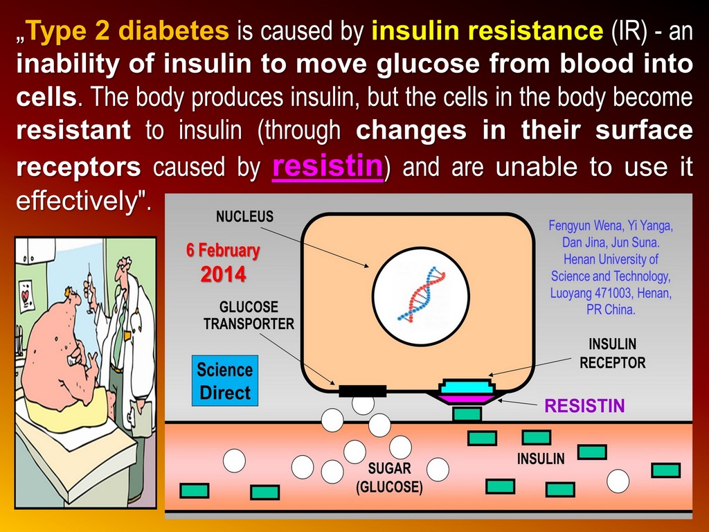 Сыромоноедение REVERSING TYPE 2 DIABETES Сыромоноедение