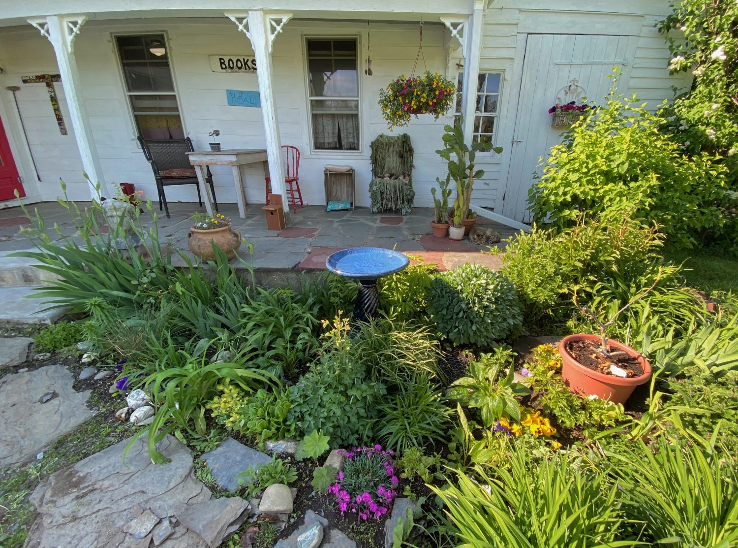 This Year's Back Porch Garden