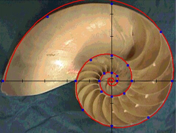 The goldenratio tyredalley