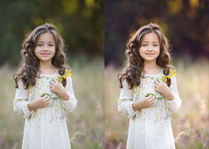 Actions & Lightroom Presets Greater Than Gatsby Full